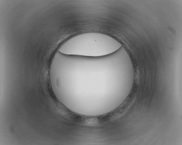 X0000115550355200911061131