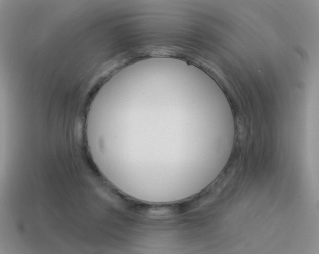 X0000115550357200911061131