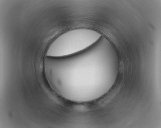 X0000115550358200911061131
