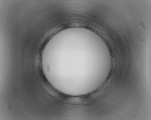 X0000115550361200911061131