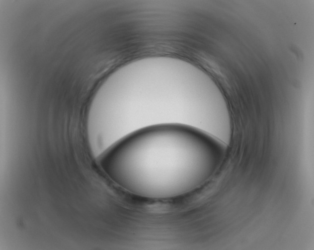 X0000115550362200911061131