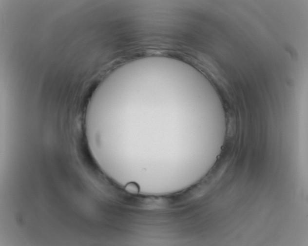 X0000115550363200911061131