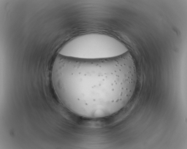 X0000115550366200911061132