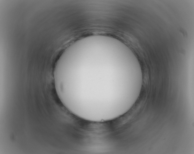 X0000115550367200911061132