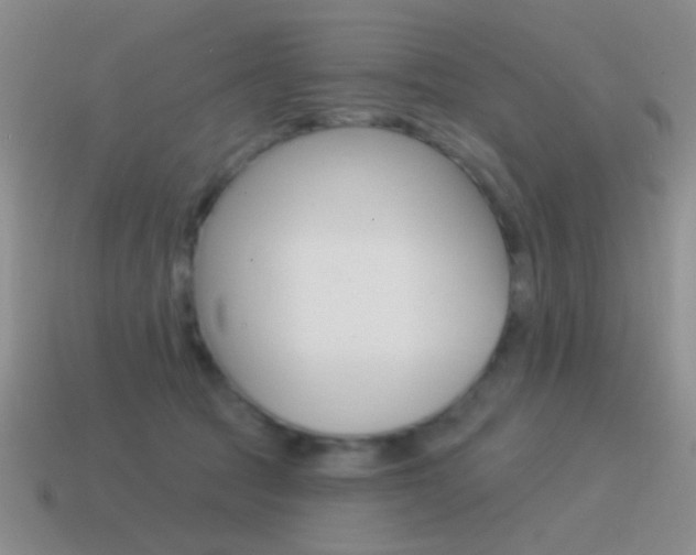 X0000115550369200911061132