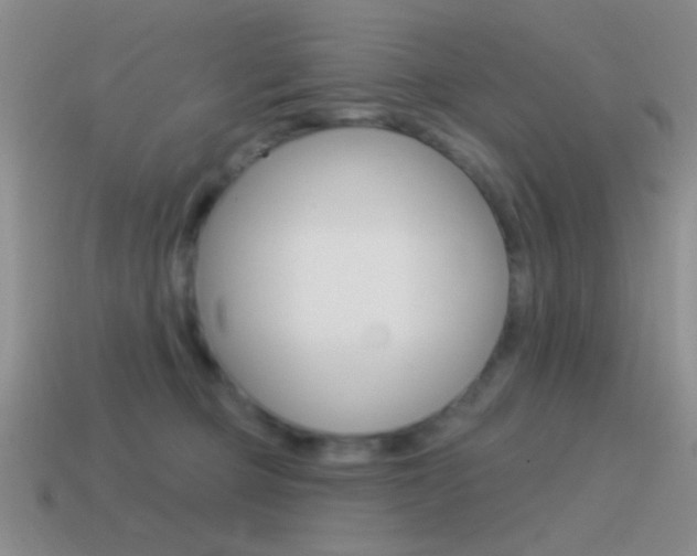 X0000115550373200911061132