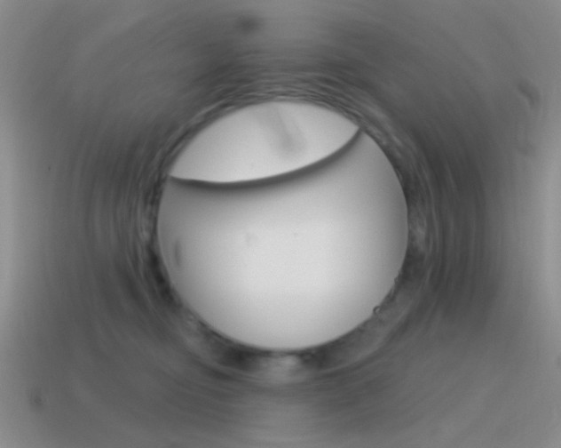 X0000115550374200911061132