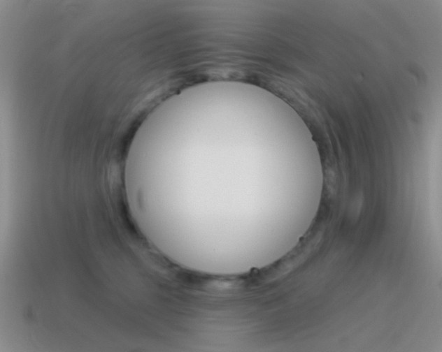 X0000115550375200911061132