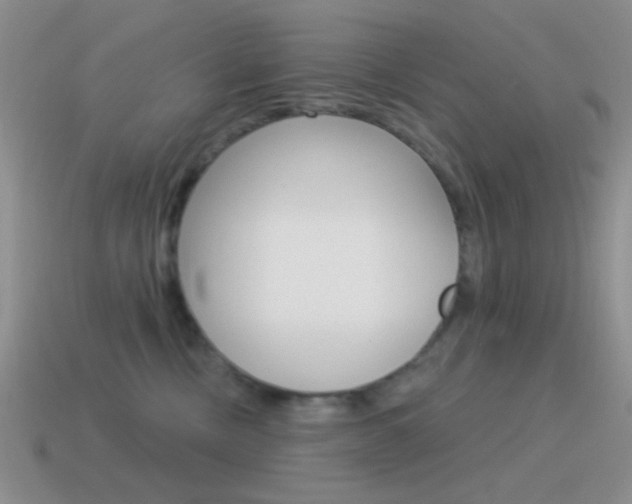 X0000115550378200911061132