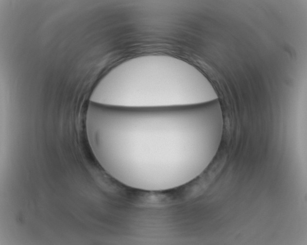 X0000115550379200911061132