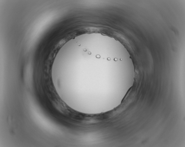 X0000115550381200911061132