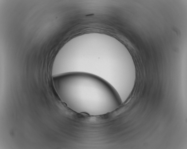 X0000115550382200911061132
