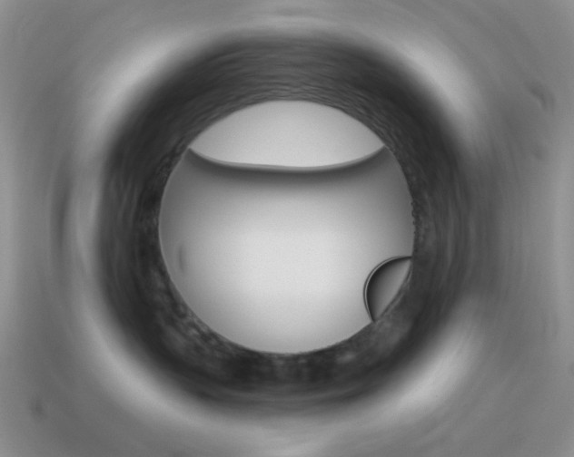 X0000115550383200911061132