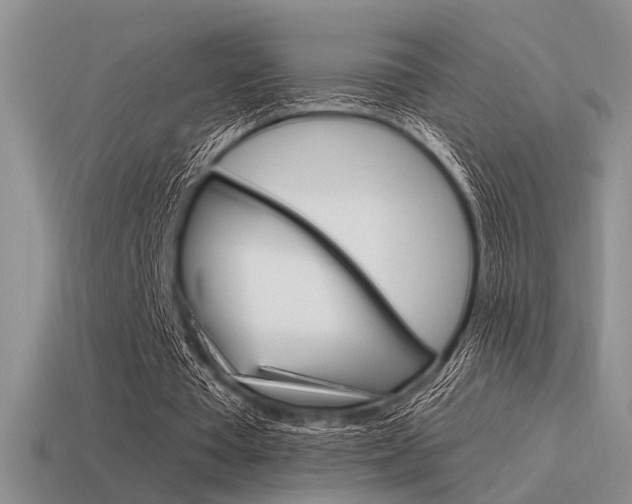 X0000115550385200911061131