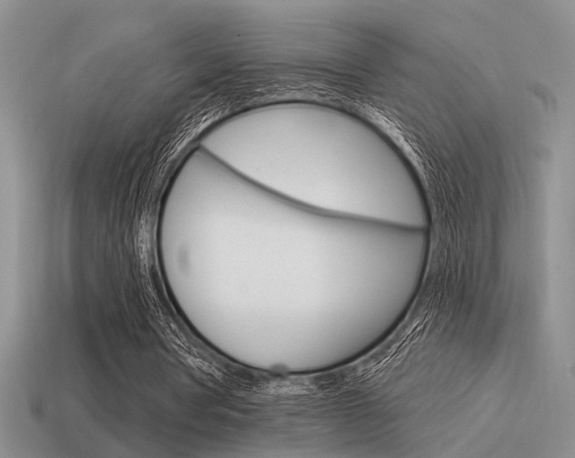 X0000115550386200911061131