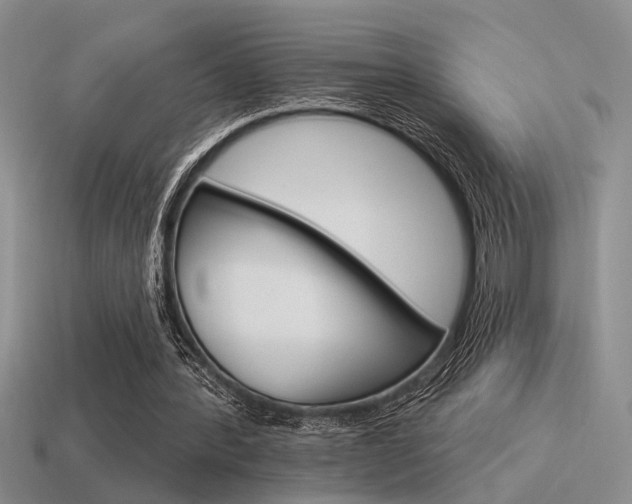 X0000115550388200911061131