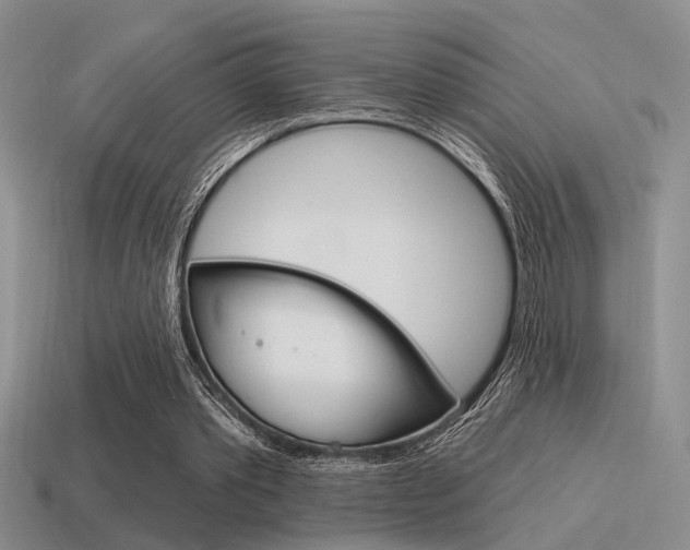 X0000115550389200911061131
