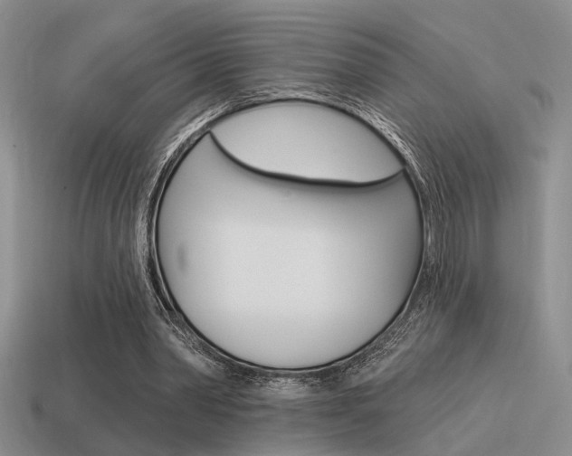 X0000115550390200911061131