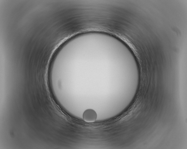 X0000115550391200911061131