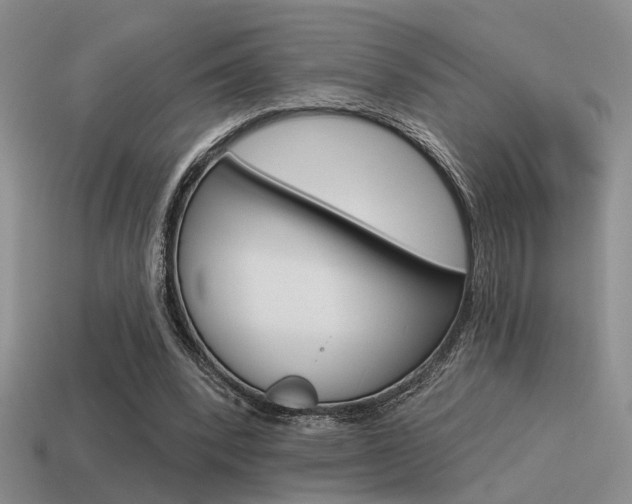 X0000115550392200911061131