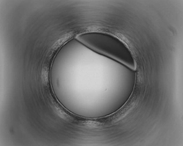 X0000115550393200911061131