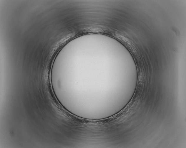 X0000115550394200911061131