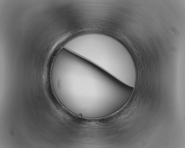 X0000115550396200911061131