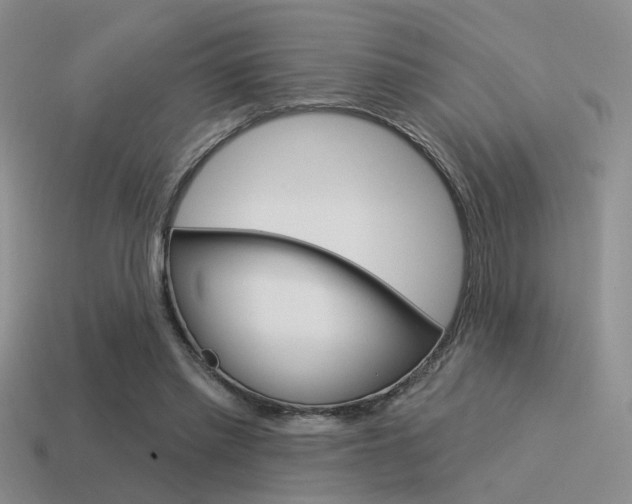 X0000115550397200911061131