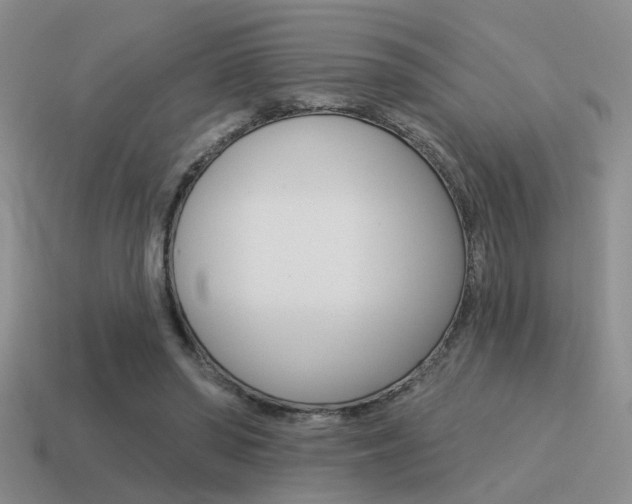 X0000115550398200911061131