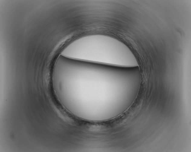 X0000115550400200911061131