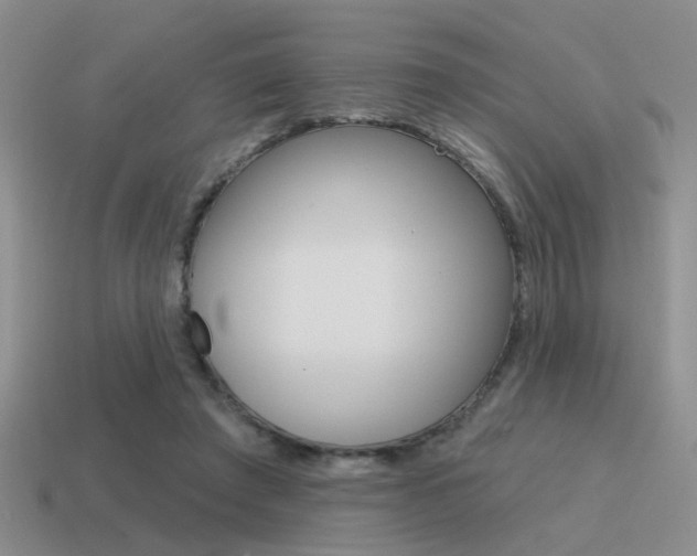 X0000115550401200911061131