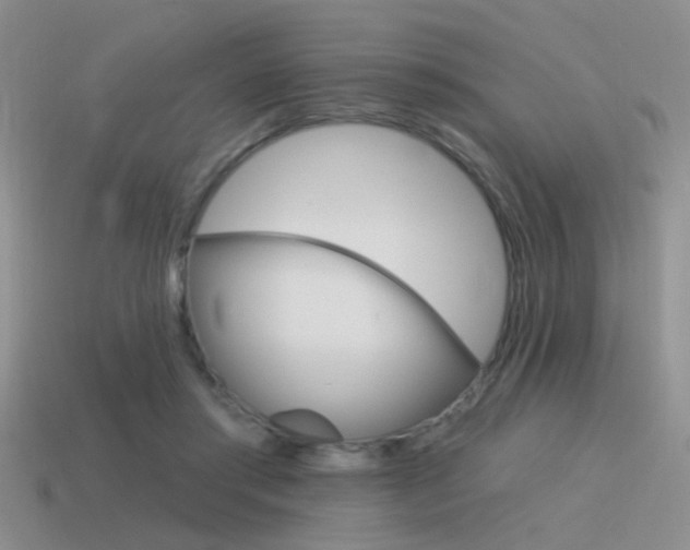 X0000115550405200911061131