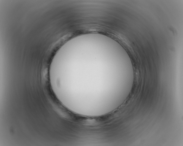 X0000115550406200911061131