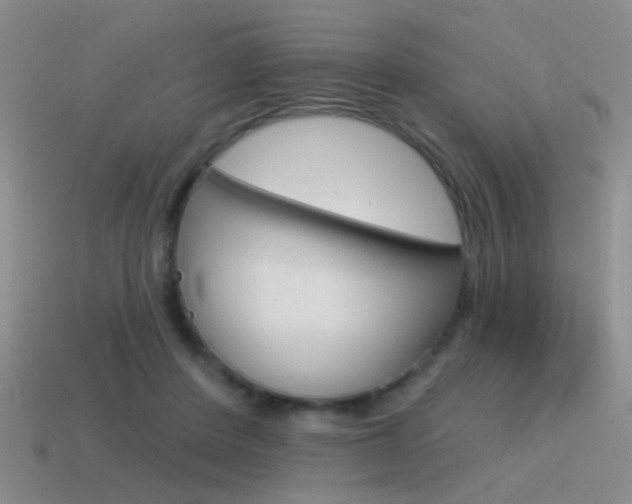 X0000115550408200911061131