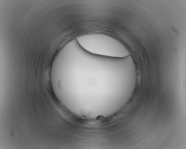 X0000115550410200911061131