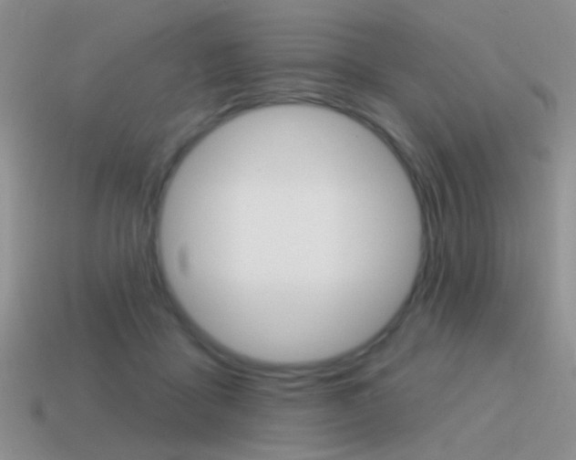 X0000115550411200911061131