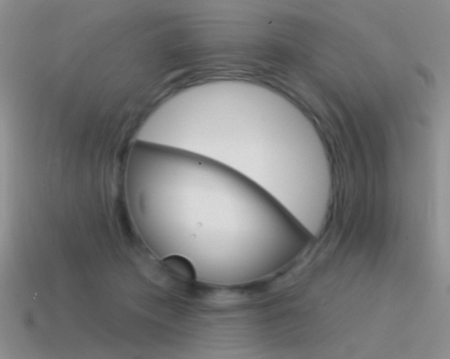 X0000115550413200911061131