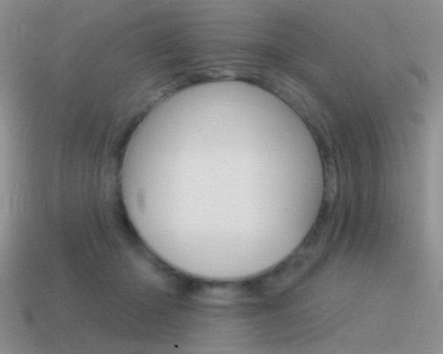 X0000115550414200911061131