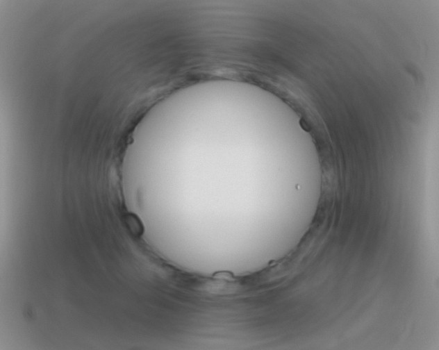 X0000115550415200911061131