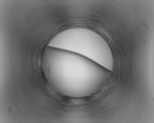 X0000115550417200911061131