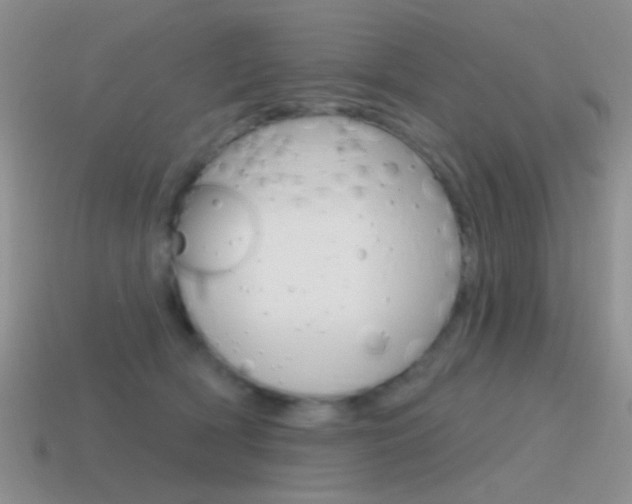 X0000115550418200911061131
