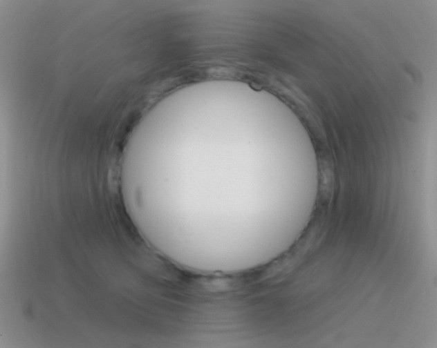 X0000115550419200911061131