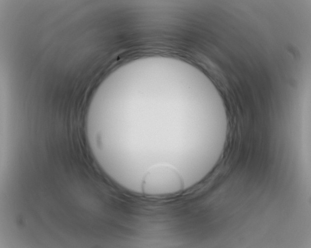 X0000115550421200911061130