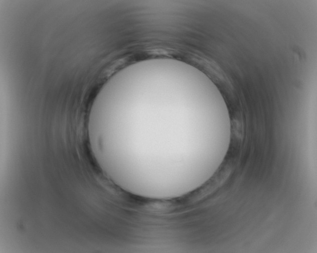 X0000115550422200911061130