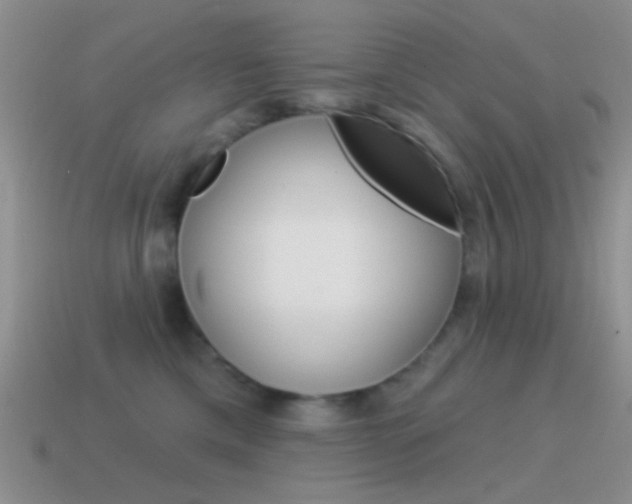 X0000115550425200911061130