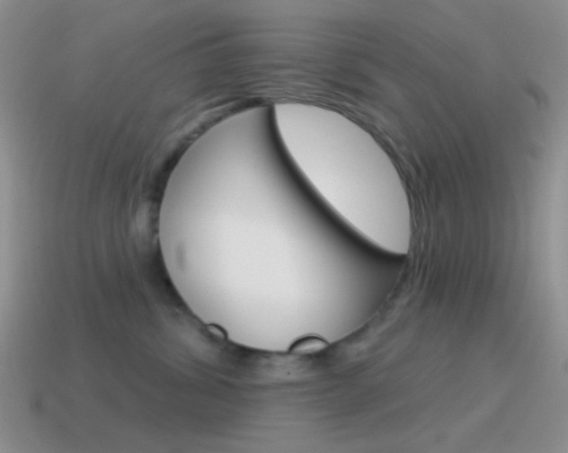 X0000115550428200911061130