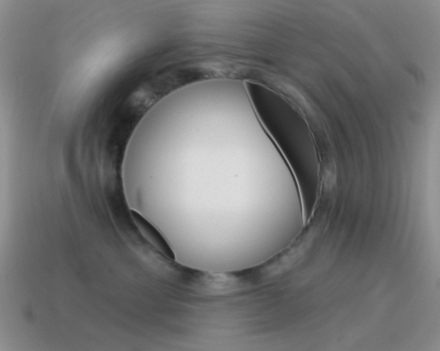 X0000115550429200911061130