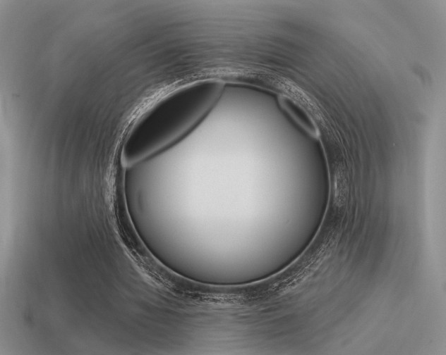 X0000115550436200911061130