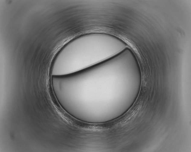 X0000115550437200911061130