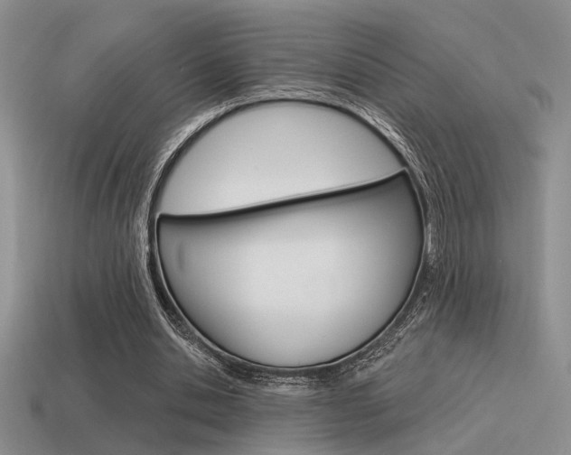 X0000115550438200911061130